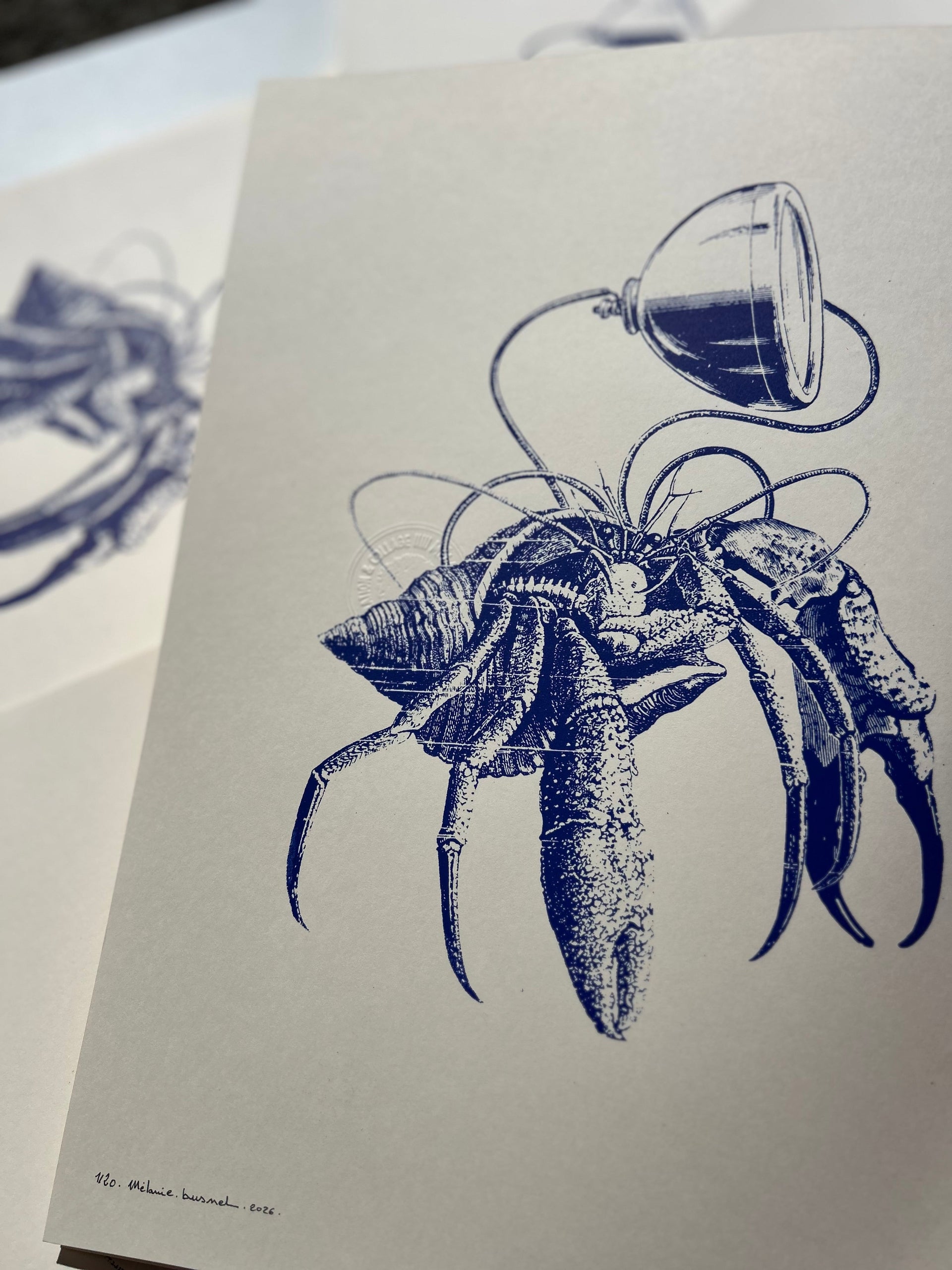 Sérigraphie "Lenteur éclairée" - Bernard-l'hermite et lampe, tirage bleu marine sur papier crème, signé et numéroté, édition limitée Mélanie Busnel 2026
