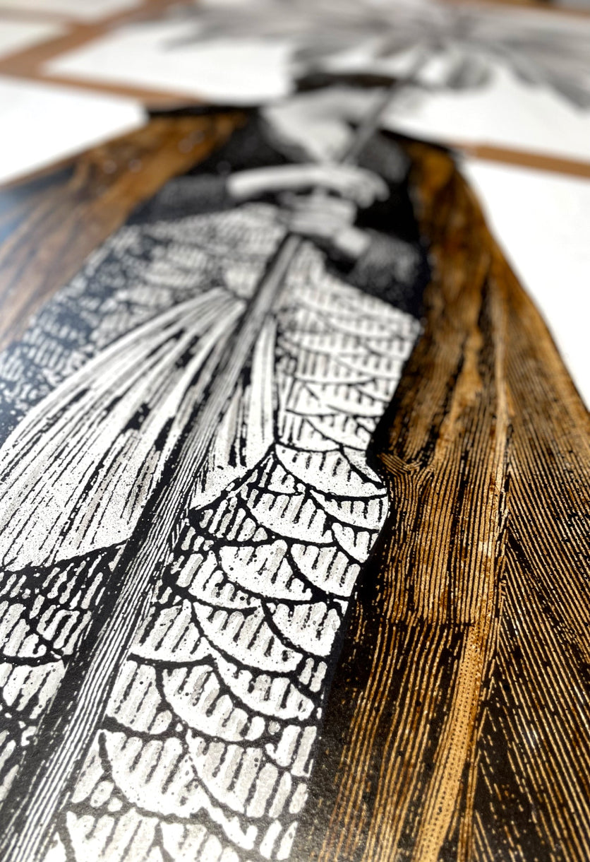 TAKAKOLER "DOUCETTE"